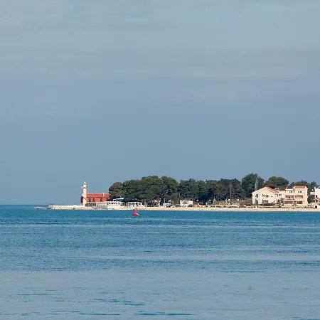 And Cvita * Zadar