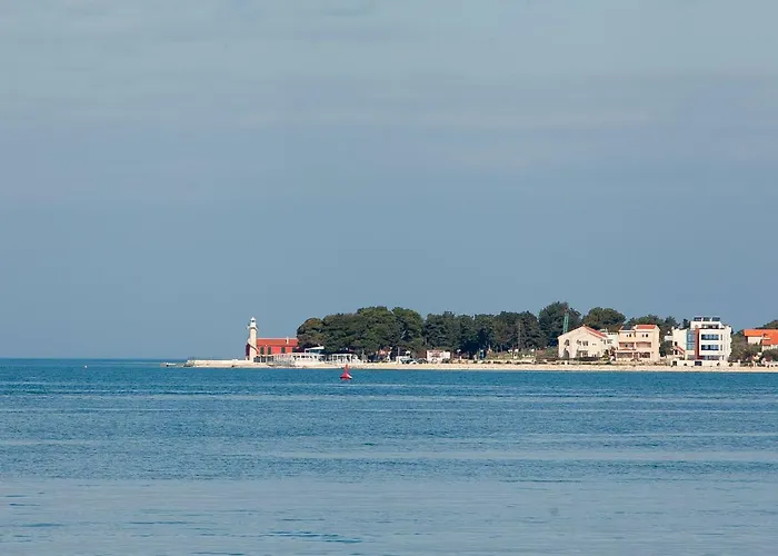 And Cvita * Zadar